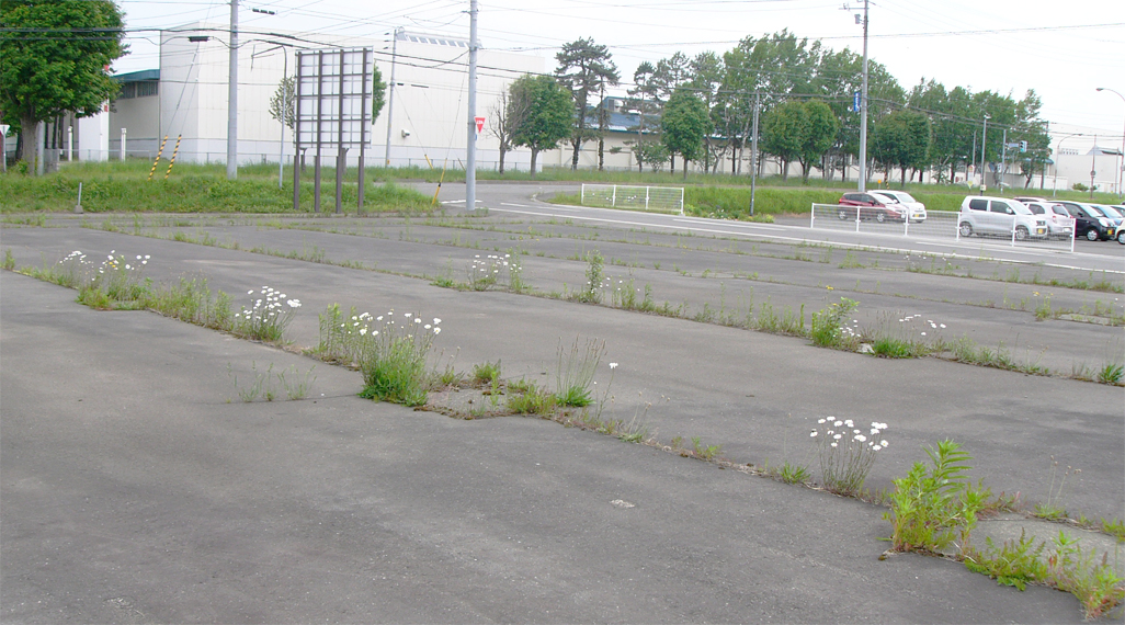 恵庭市：売地写真2